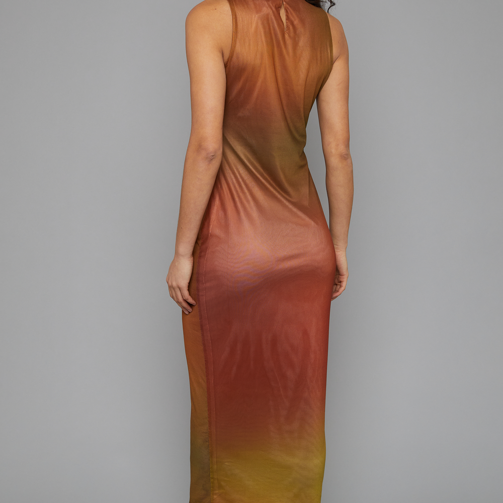 
                      
                        Rust Mesh Blur Maxi Dress
                      
                    