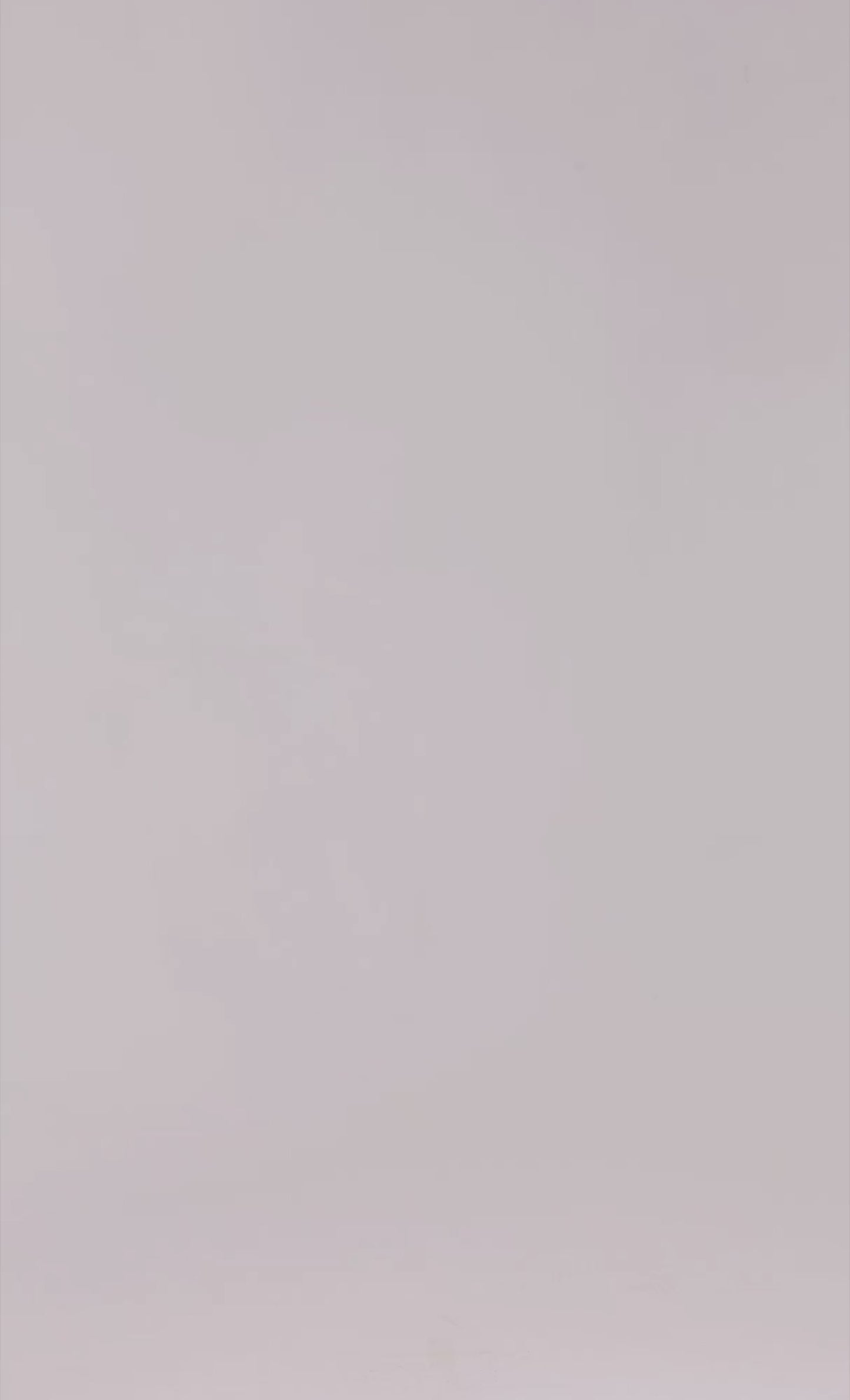 Blue Floral Mesh Devore Maxi Dress