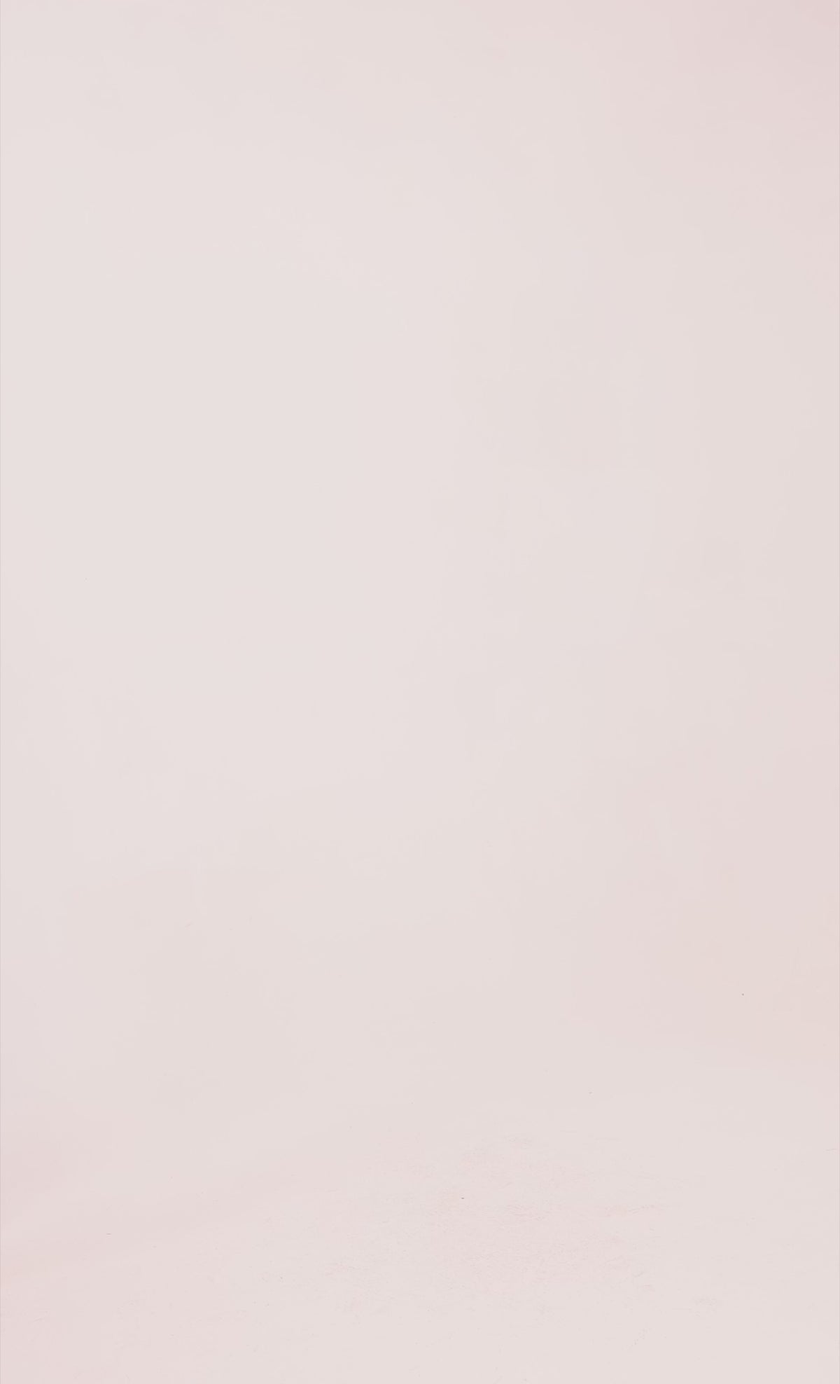 Rust Bishop Sleeve Devore Mini Dress