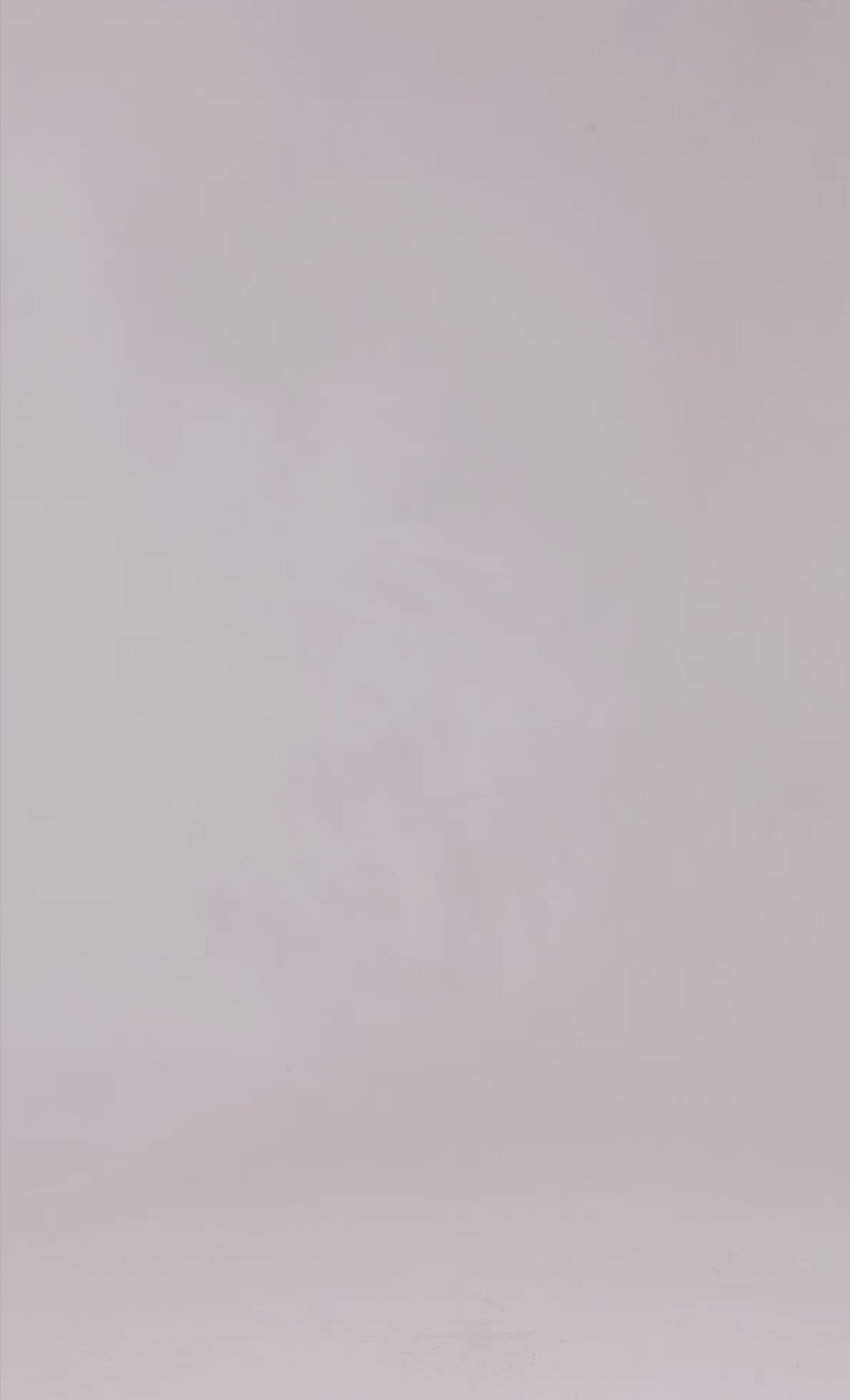 Butter Yellow Polka Dot Mesh Devore Maxi Dress