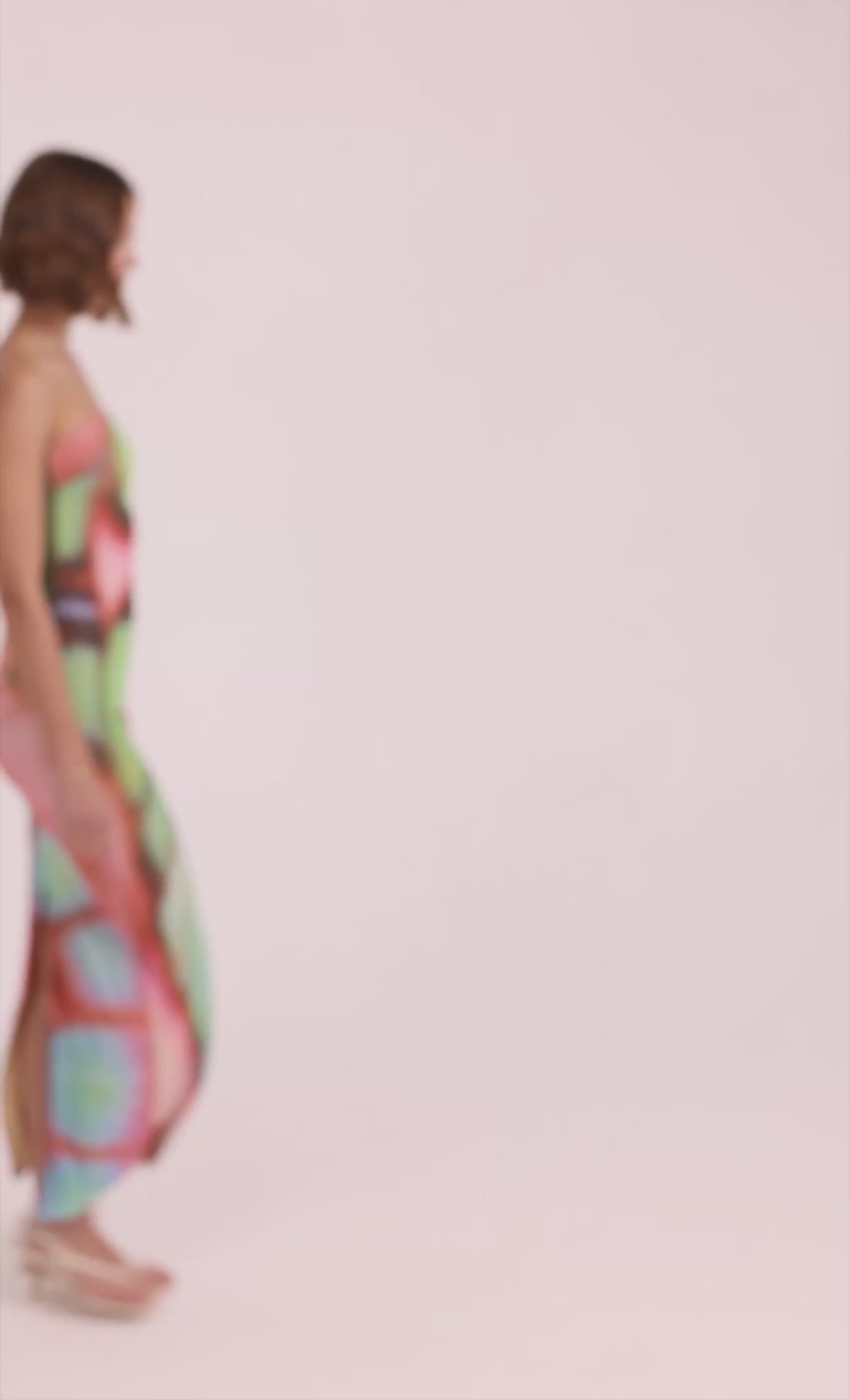 Multi Butterfly Blur Mesh Maxi Dress